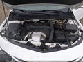 2019 Chevrolet Malibu — photo 10 of 16 | VIN 1G1ZE5SX1KF149929