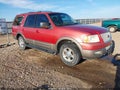 2003 Ford Expedition — photo 1 of 11 | VIN 1FMRU17L83LA30346