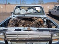1986 Ford F-150 Lightning — photo 10 of 16 | VIN 1FTEF14Y6GPB66468