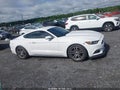 2017 Ford Mustang — photo 13 of 16 | VIN 1FA6P8TH9H5238195