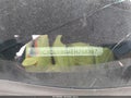 2014 Dodge Charger — photo 17 of 17 | VIN 2C3CDXBG4EH268397