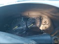 1998 Chevrolet Blazer — photo 15 of 16 | VIN 1GNDT13W6W2300631