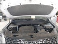 2024 Kia Telluride — photo 10 of 16 | VIN 5XYP3DGC8RG553869
