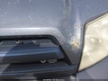 2004 Toyota 4Runner — photo 6 of 16 | VIN JTEBT17R940043702