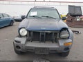 2003 Jeep Liberty — photo 13 of 17 | VIN 1J8GL48K93W601145