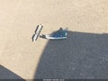 2016 Toyota 4Runner — photo 11 of 16 | VIN JTEZU5JR6G5112302