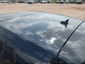 2016 Volkswagen Golf — photo 13 of 14 | VIN 3VW217AU4GM047004
