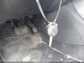 2014 Nissan Juke — photo 11 of 13 | VIN JN8AF5MV7ET484247