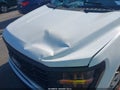 2024 Ford F-150 — photo 19 of 20 | VIN 1FTFW1L83RKE54079