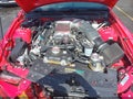 2007 Ford SHELBY — photo 10 of 16 | VIN 1ZVHT88S175260366