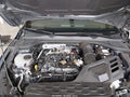 2024 Volkswagen Golf — photo 10 of 17 | VIN WVWGA7CD0RW114951