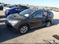 2013 Honda CR-V — photo 2 of 16 | VIN 5J6RM4H59DL061171