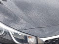 2016 Kia Sedona — photo 19 of 19 | VIN KNDMC5C19G6133891