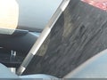 2019 Tesla Model 3 — photo 14 of 15 | VIN 5YJ3E1EA0KF435465