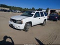 2008 Chevrolet Trailblazer — photo 2 of 11 | VIN 1GNDT13S082208060