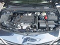 2016 Chevrolet Malibu — photo 10 of 16 | VIN 1G1ZE5ST3GF199753