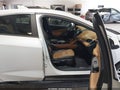 2018 Chevrolet Volt — photo 5 of 17 | VIN 1G1RD6S53JU133250