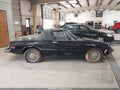 1976 Alfa Romeo Spider — photo 13 of 16 | VIN 00000000AR3049788