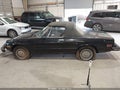 1976 Alfa Romeo Spider — photo 14 of 16 | VIN 00000000AR3049788