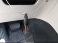 2014 Toyota Venza — photo 11 of 16 | VIN 4T3ZA3BB8EU086116