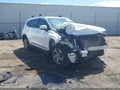 2022 Hyundai Santa Fe — photo 1 of 16 | VIN 5NMS24AJ2NH396490