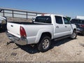 2006 Toyota Tacoma — photo 4 of 16 | VIN 3TMLU42N96M003065