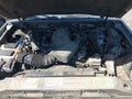 1999 Ford Explorer — photo 10 of 10 | VIN 1FMDU32E5XZB59887