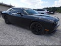 2010 Dodge Challenger — photo 1 of 11 | VIN 2B3CJ4DV7AH313696