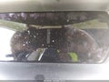 2017 Tesla Model S — photo 15 of 18 | VIN 5YJSA1E22HF188488