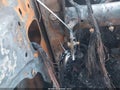 2025 Hyundai Tucson — photo 11 of 11 | VIN 5NMJB3DE0SH498984