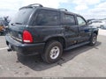 2000 Dodge Durango — photo 3 of 10 | VIN 1B4HS28Z4YF286579