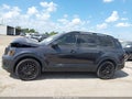 2025 Kia Telluride — photo 14 of 16 | VIN 5XYP5DGC1SG650430