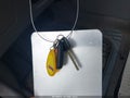 2004 Toyota Corolla — photo 11 of 11 | VIN JTDBR32E442034008