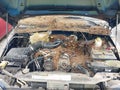 2007 Jeep Liberty — photo 10 of 12 | VIN 1J4GL48K47W521971