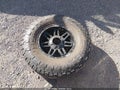 2005 Chevrolet Silverado 1500 — photo 12 of 17 | VIN 1GCEK19B65E312294