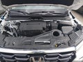 2025 Honda Pilot — photo 10 of 16 | VIN 5FNYG1H77SB129895