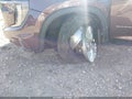 2024 GMC Acadia — photo 6 of 17 | VIN 1GKENNKS0RJ199887
