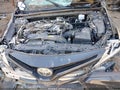 2019 Toyota Camry — photo 6 of 15 | VIN 4T1B11HK5KU751605