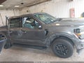 2024 Ford F-150 — photo 13 of 16 | VIN 1FTFW3LD4RFA62102
