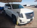 2015 Cadillac Escalade — photo 1 of 16 | VIN 1GYS3NKJ1FR553712