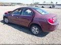 2000 Dodge Neon — photo 3 of 16 | VIN 1B3ES46CXYD516218
