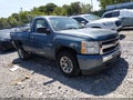 2010 Chevrolet Silverado 1500 — photo 1 of 11 | VIN 1GCPCPEX6AZ248948