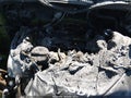 2012 Hyundai Veloster — photo 12 of 12 | VIN KMHTC6AD1CU073895