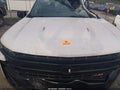 2021 Chevrolet Silverado 1500 — photo 10 of 16 | VIN 3GCPYFEL8MG361149