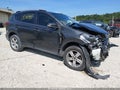 2014 Toyota RAV4 — photo 1 of 17 | VIN 2T3WFREV2EW120113