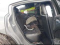 2023 Dodge Charger — photo 8 of 15 | VIN 2C3CDXCT0PH558022