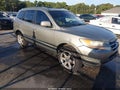 2007 Hyundai Santa Fe — photo 1 of 14 | VIN 5NMSH13EX7H053278