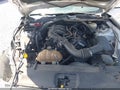 2015 Ford Mustang — photo 10 of 16 | VIN 1FATP8EM3F5397546