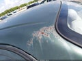 2002 Toyota Corolla — photo 14 of 14 | VIN 1NXBR12E72Z610627