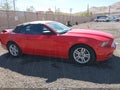 2014 Ford Mustang — photo 13 of 16 | VIN 1ZVBP8EM1E5272241